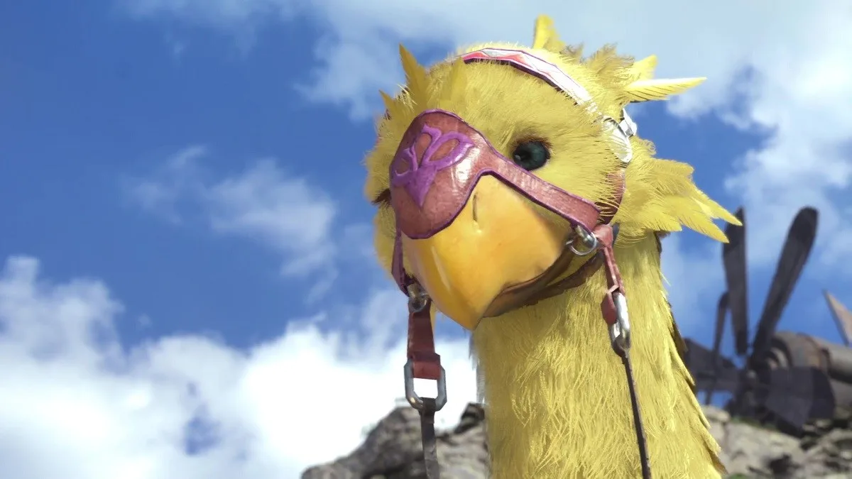 Piko, seu chocobo